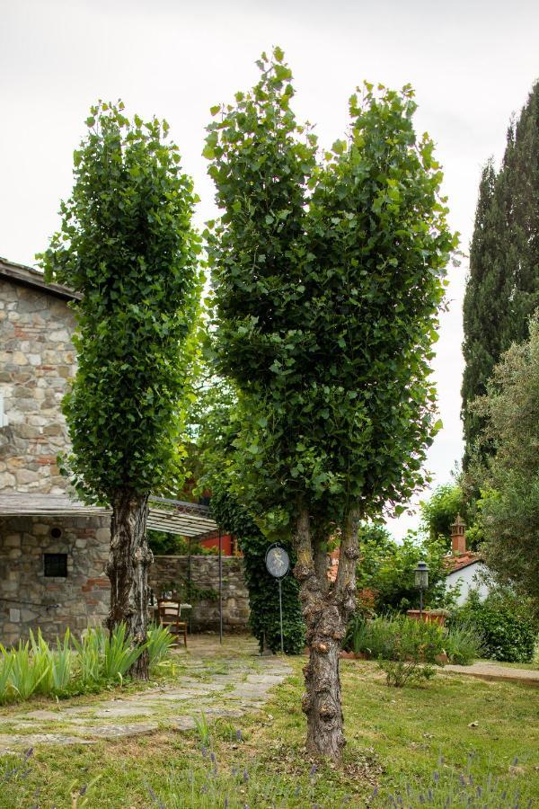 Appartement Terre Di San Gorgone à Donnini Extérieur photo